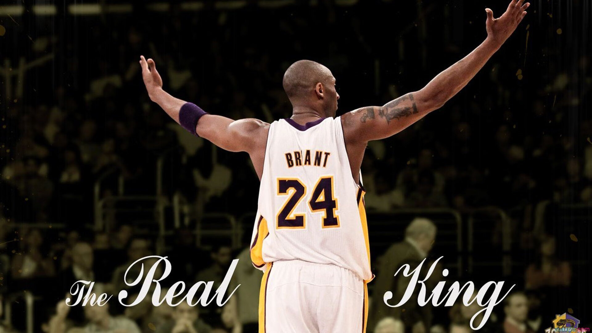 爱游戏娱乐-“彼得森的非凡表现助南非羚羊队破纪录创佳绩”