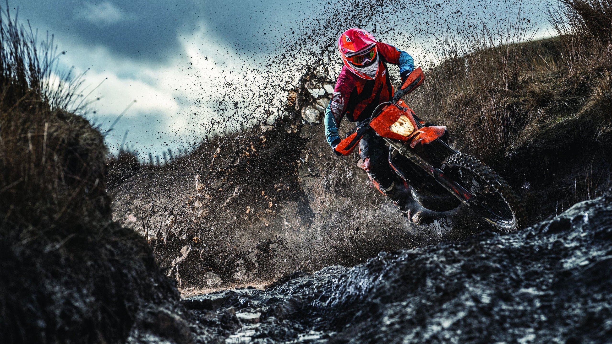 欧冠小组赛：凯尔特人从垫底爬到小组第二 奇迹般三连胜惊艳欧洲